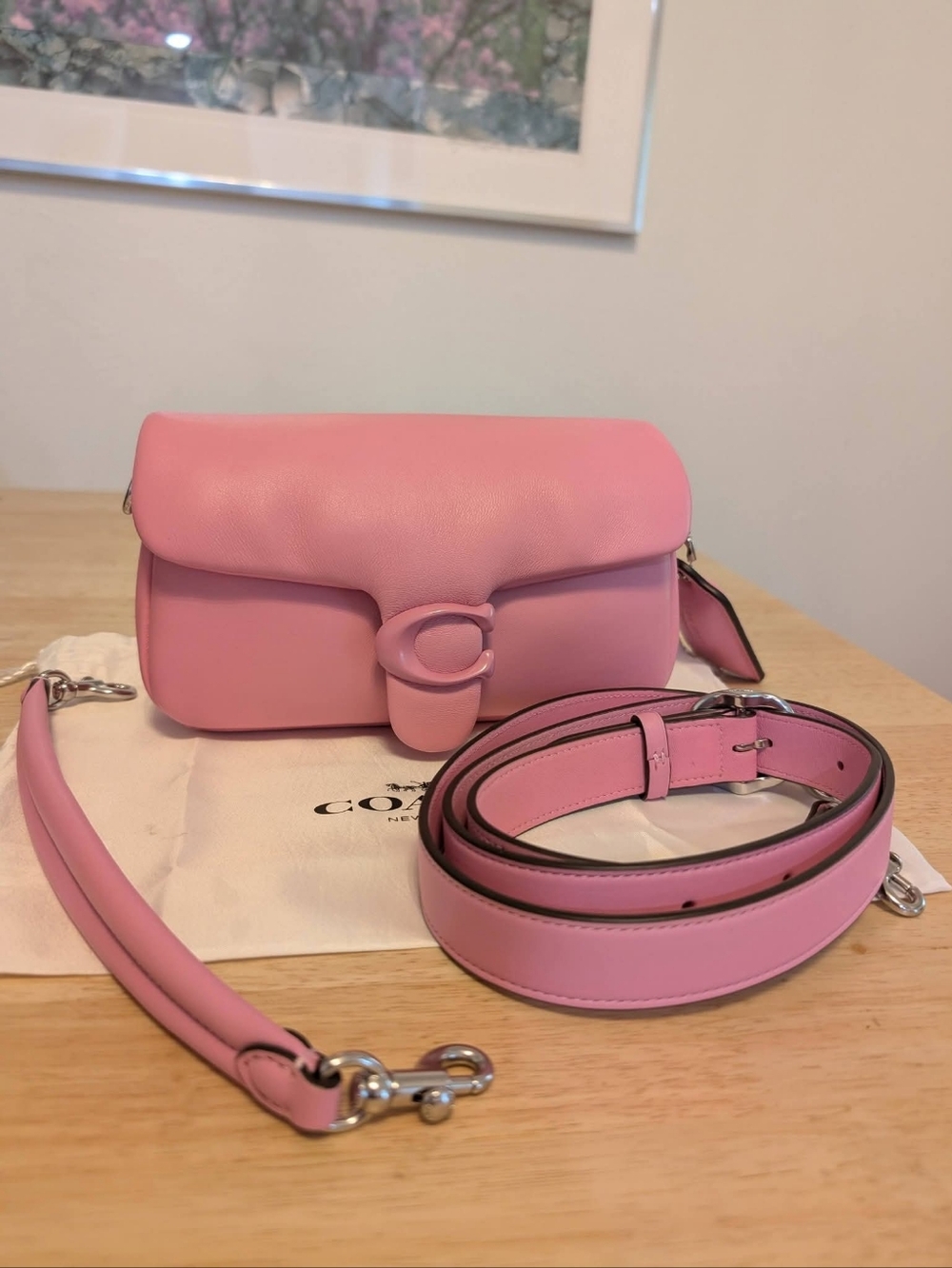 Coach Pink Pillow Tabby Bag 20